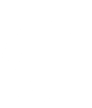 White Circle Gradient